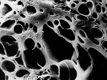 比表面积分析仪厂商大盘点：如何挑选靠谱公司